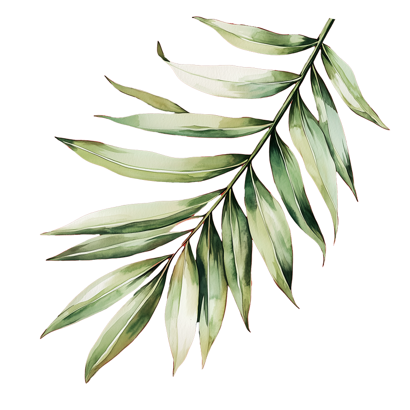 palm-leaf_2